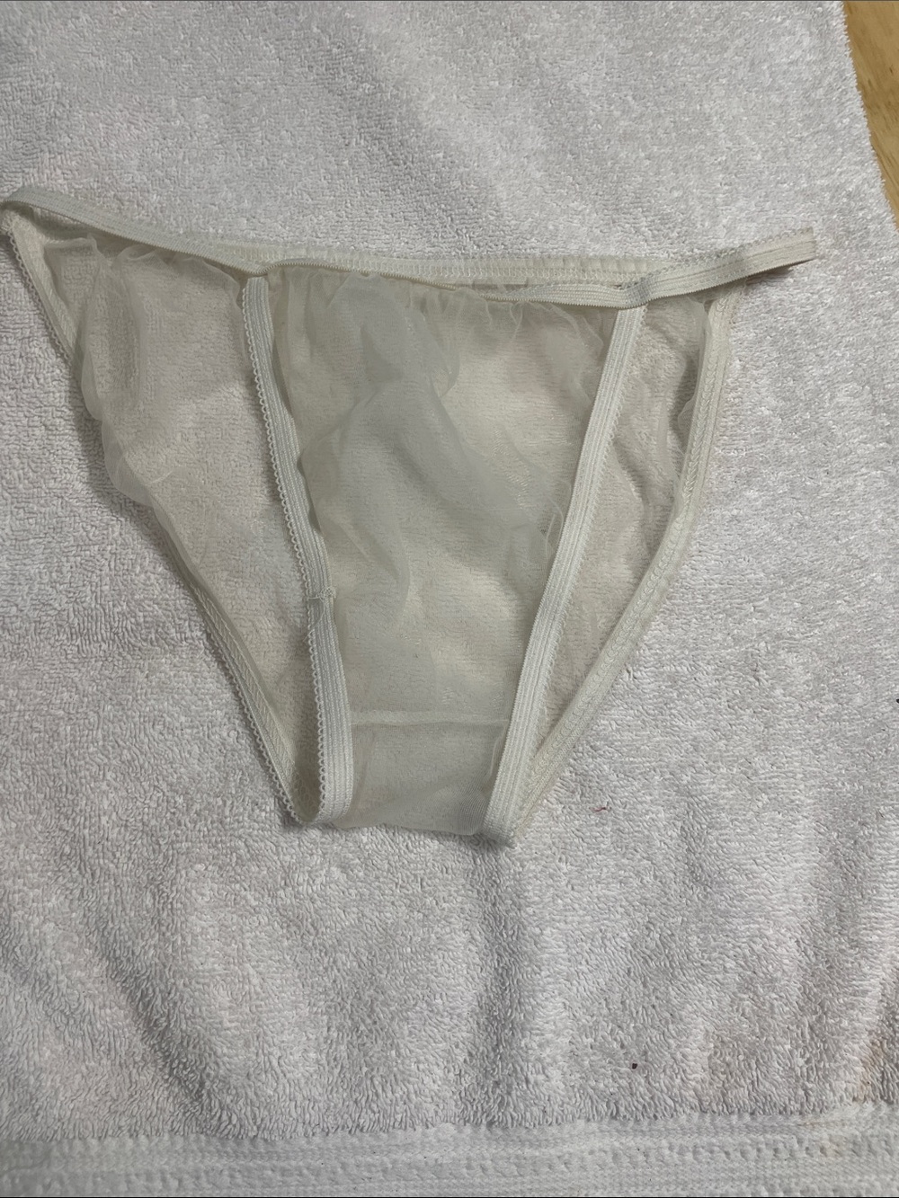 Sheer Mesh Bikini Briefs in Cream